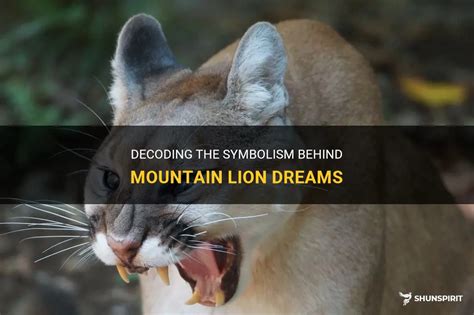 The Psychological Meanings Behind Encounters with a Fierce Mountain Lion in Dreams