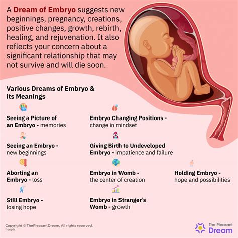 The Psychological Significance of Dreaming About an Expiring Embryo