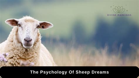 The Psychological Significance of Sheep in Dream Analysis