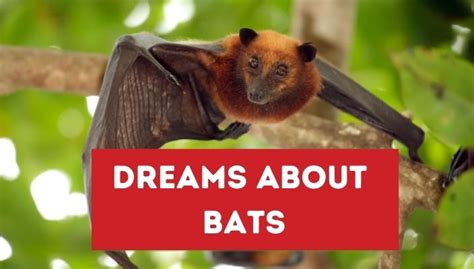 The Psychological Significance of a Dream featuring a Blue Bat