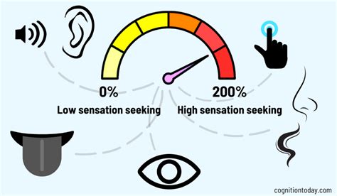 The Psychology Behind the Desire to Experience the Sensations of Passively Observing Vehicle Navigation