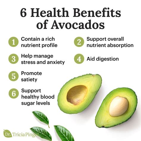 The Quest for Nutritional Excellence: The Health Benefits of an Exquisitely Ripe Avocado