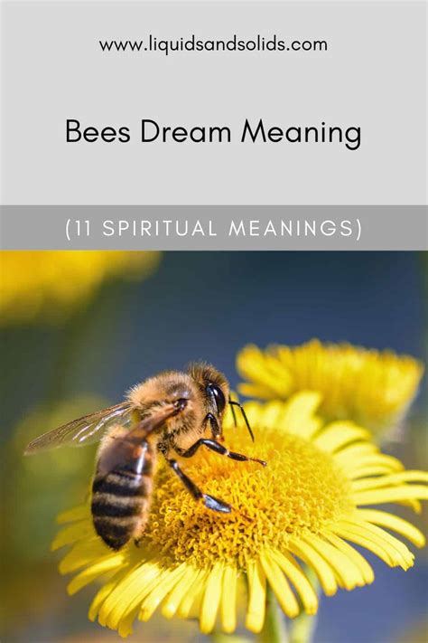 The Relationship Between Anger and Bees in Dream Psychology