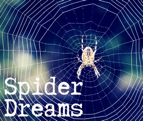 The Relationship Between Spider Dreams and Personal Development