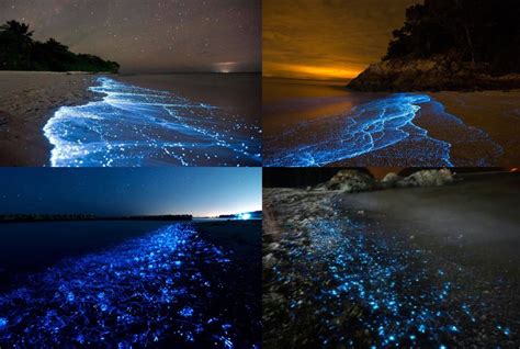 The Remarkable Diversity of Locations Where Blue Tears Occur