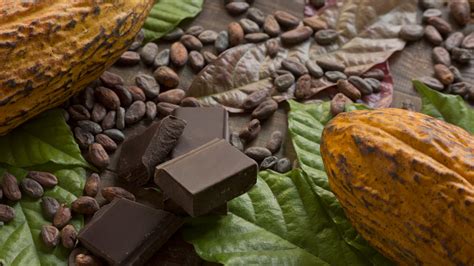 The Rich History of Drinking Chocolate