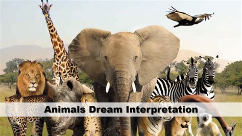 The Role of Animals in Dream Analysis