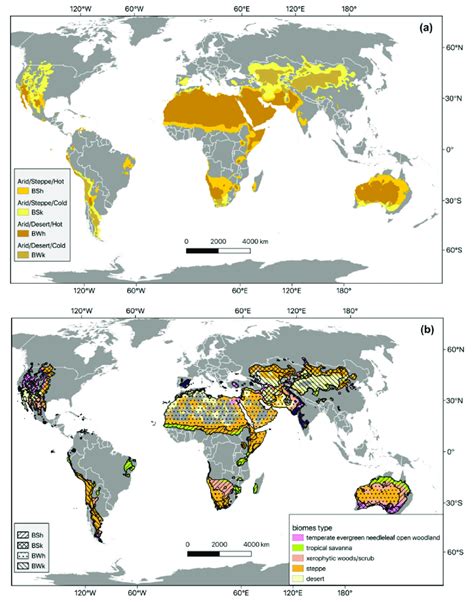 The Role of Arid Regions in Climate Regulation