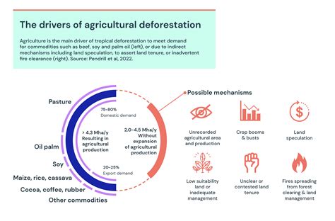 The Role of Deforestation in the Desiccation of Land