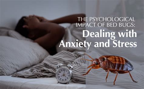 The Role of Fear and Anxiety in Dreamscapes of Insect Infestations