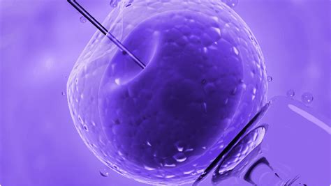 The Role of Fertility Clinics in Realizing Parenthood Aspirations