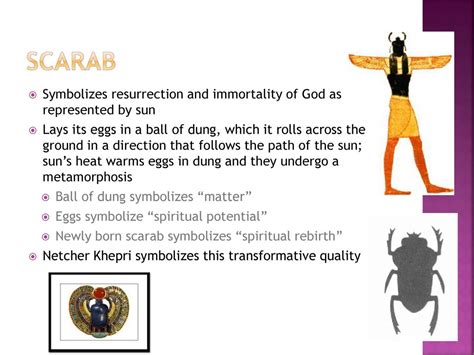 The Scarab Symbolizes Rebirth and Metamorphosis