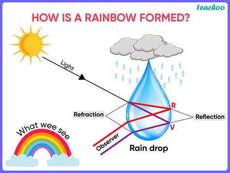 The Science Behind Animal Rain: An Explanation from Experts