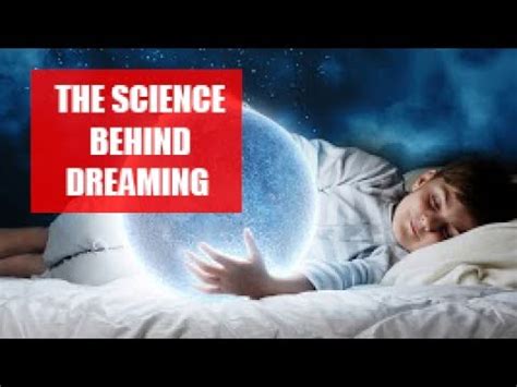 The Science Behind Dreaming: Investigating the Intricate Workings of the Neurological Phenomenon