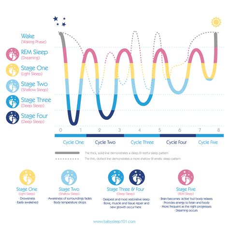 The Science Behind Infant Sleep Patterns