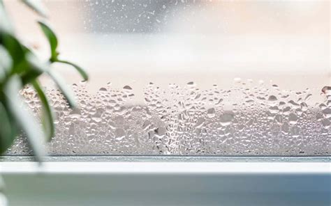 The Science Behind Window Condensation: Shedding Light on the Mysterious Transformation