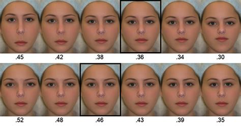 The Science Behind an Ideal Facial Structure