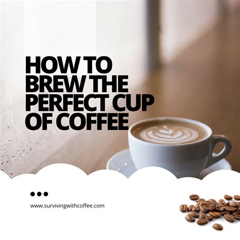 The Science Behind the Art of Brewing the Perfect Cup of Joe