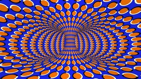 The Science Behind the Visual Tricks Caused by Striped Designs