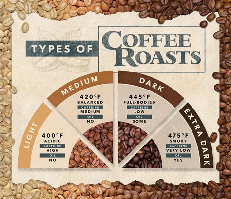 The Science behind Crafting the Perfect Coffee Bean Roast