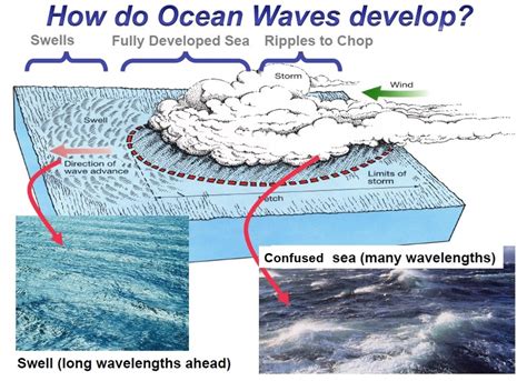 The Science behind Wave Formation and Propagation