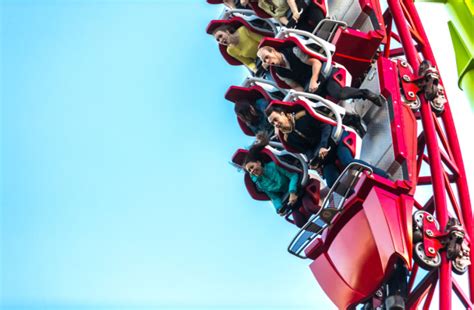 The Science of Excitement: How Roller Coasters Impact the Mind and Body