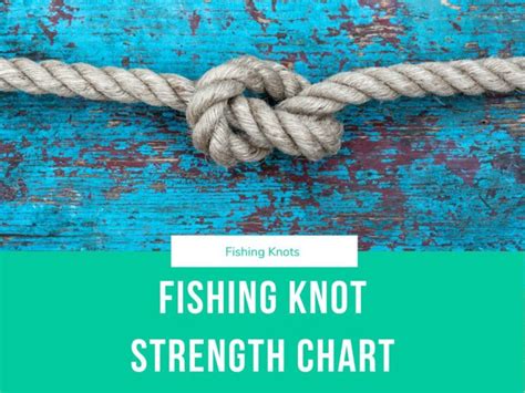 The Science of Knotting: Discovering the Physics Behind Knot Strength and Stability