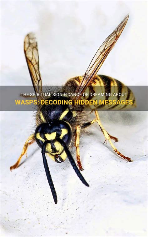 The Scientific Interpretation: Decoding the Significance of the Aerial Wasp