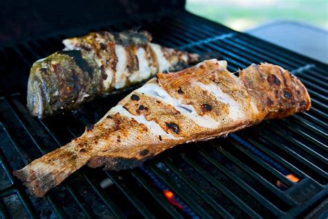 The Sensory Experience: Grilled Fish's Unforgettable Taste