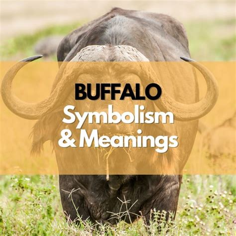 The Significance and Symbolism of Buffaloes