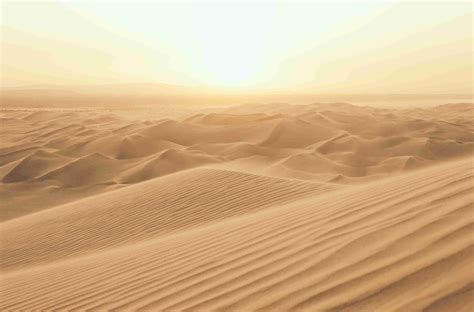 The Significance of Arid Terrain in Dreams