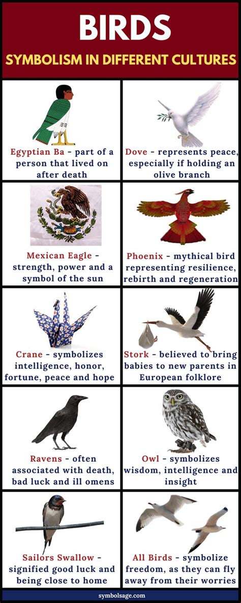 The Significance of Birds as Symbols