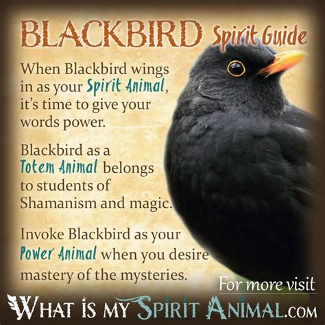 The Significance of Black Birds in Dreams: Symbolic Meanings Explored