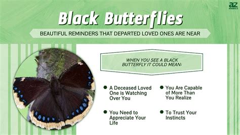 The Significance of Black Butterflies in Various Cultures