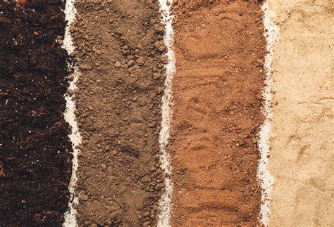 The Significance of Brown Soil in Cultural Contexts