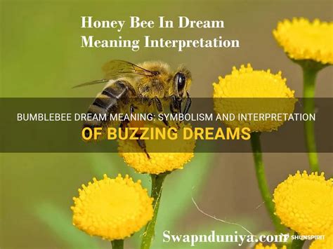 The Significance of Buzzing Dreams in Decoding Latent Apprehensions and Uneasiness