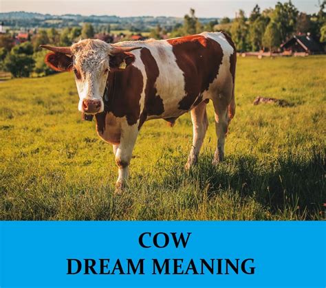 The Significance of Cattle in Dream Analysis