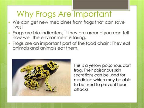 The Significance of Conservation Initiatives for Frogs