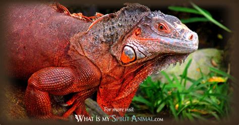 The Significance of Dream Analysis: Harnessing the Power of Iguana Dreams for Personal Exploration