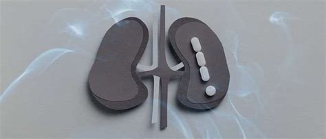 The Significance of Dreaming About Consuming a Kidney