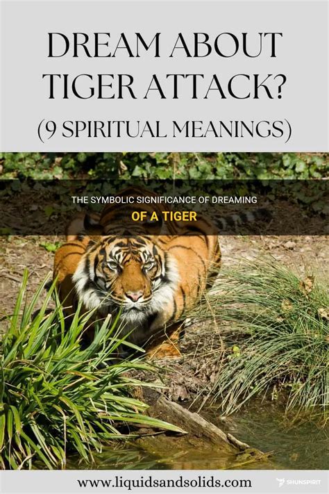 The Significance of Dreaming Being Experiencing a Fierce Tiger Encounter 