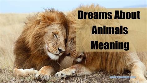 The Significance of Dreaming about Animals