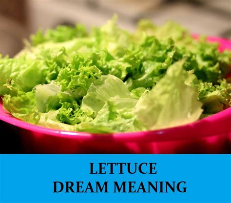 The Significance of Dreaming about Consuming Lettuce