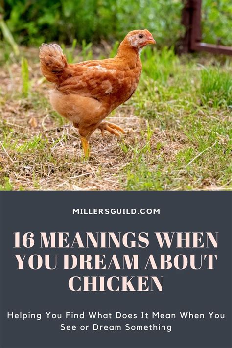 The Significance of Dreaming about Feeding a Hen