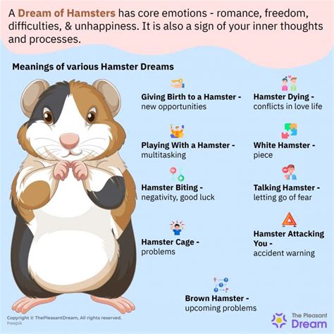 The Significance of Dreaming for Hamsters