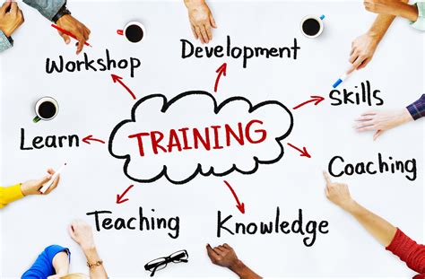 The Significance of Education and Professional Training