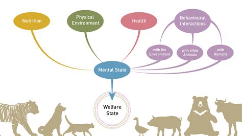 The Significance of Ethical Animal Welfare