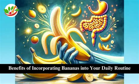 The Significance of Incorporating Bananas into Your Daily Nutrition