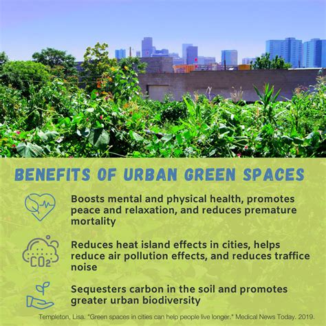 The Significance of Maintaining Neat Urban Environments