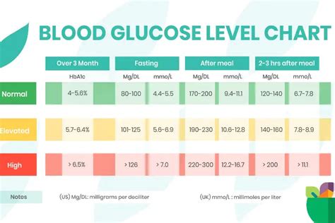 The Significance of Maintaining Proper Glucose Levels